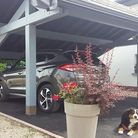La Noue Aubain Acomodação com café da manhã Corbenay Exterior foto
